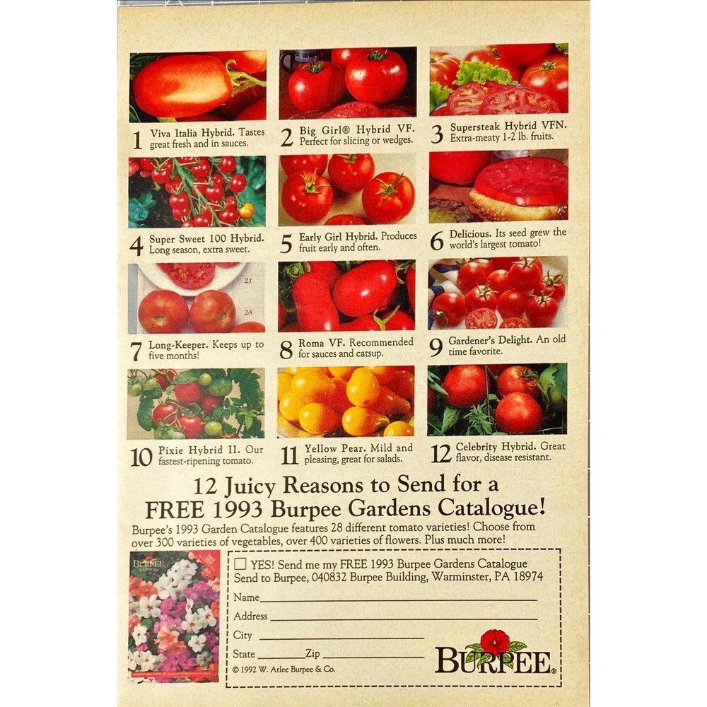 Burpee "Free 1993 Burpee Gardens Catalogue!" Vintage Print Ad 1993